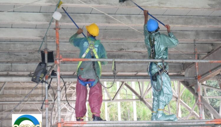 WhatsApp Image 2023-11-02 at 11.11.01 (2)